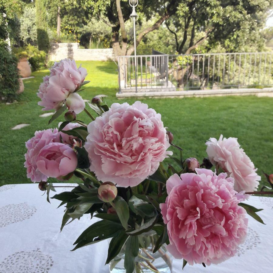 Bed and Breakfast Provence Dodo Villeneuve  Zewnętrze zdjęcie